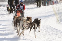 Lenk 2012 SM